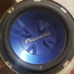 Sub Pioneer 800w 30cm